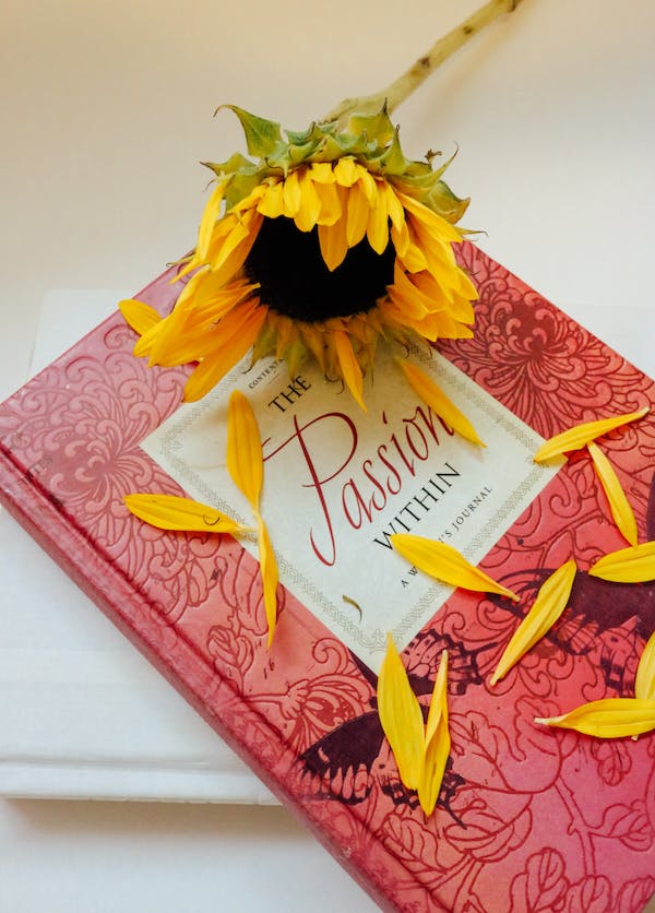 Weight Loss Journal Prompts